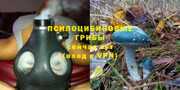 эйфоретик Алексин