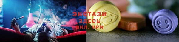 индика Карпинск