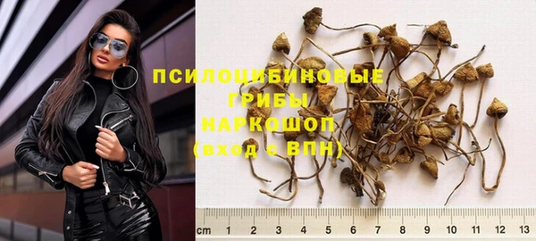 Альфа ПВП Касимов