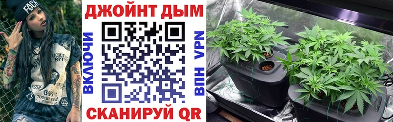 Конопля семена  сколько стоит  Еманжелинск 